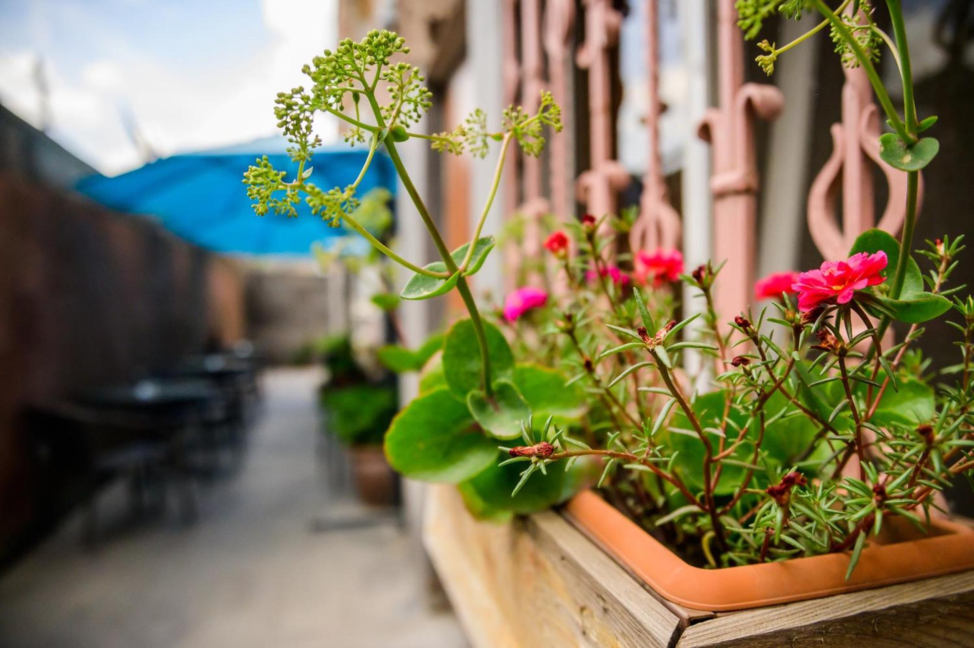 Mia Casa Yerevan